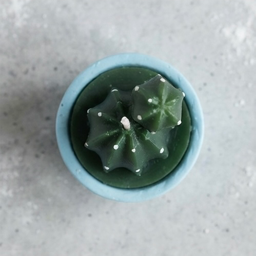 Karakız Mini Katküs Silikon Kalıp 5x4 Cm thumbnail 2